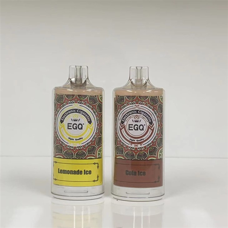 8000 Puffs Disposable Vape Electronic Cigarette