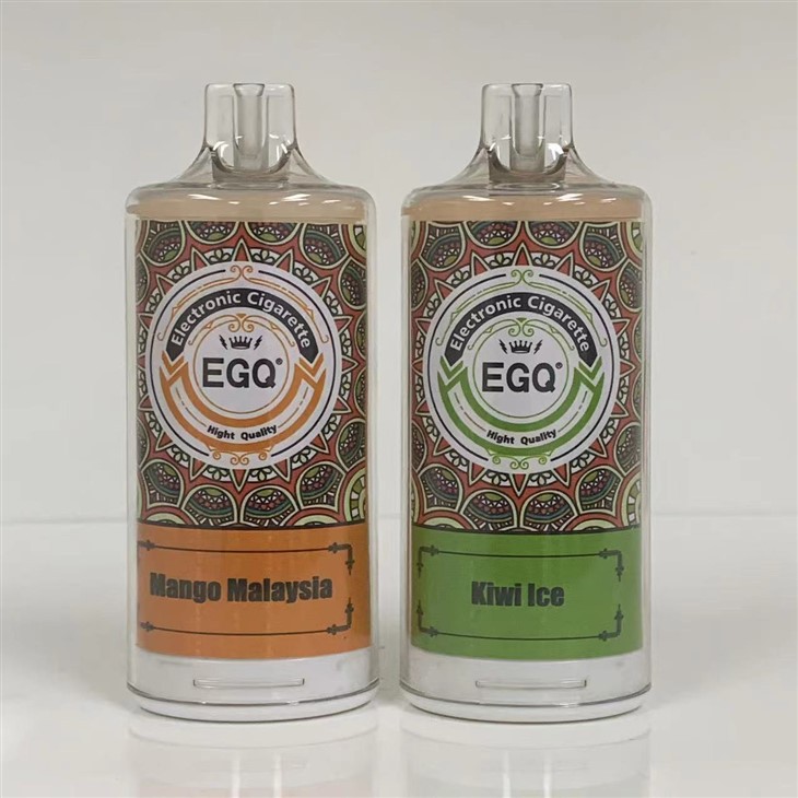 8000 Puffs Disposable Vape Electronic Cigarette