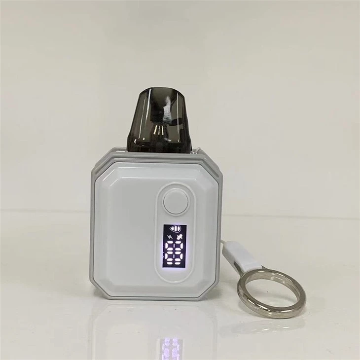 E Cigarette Vape Pod Factory 600 Puff Wholesale Disposable Vape