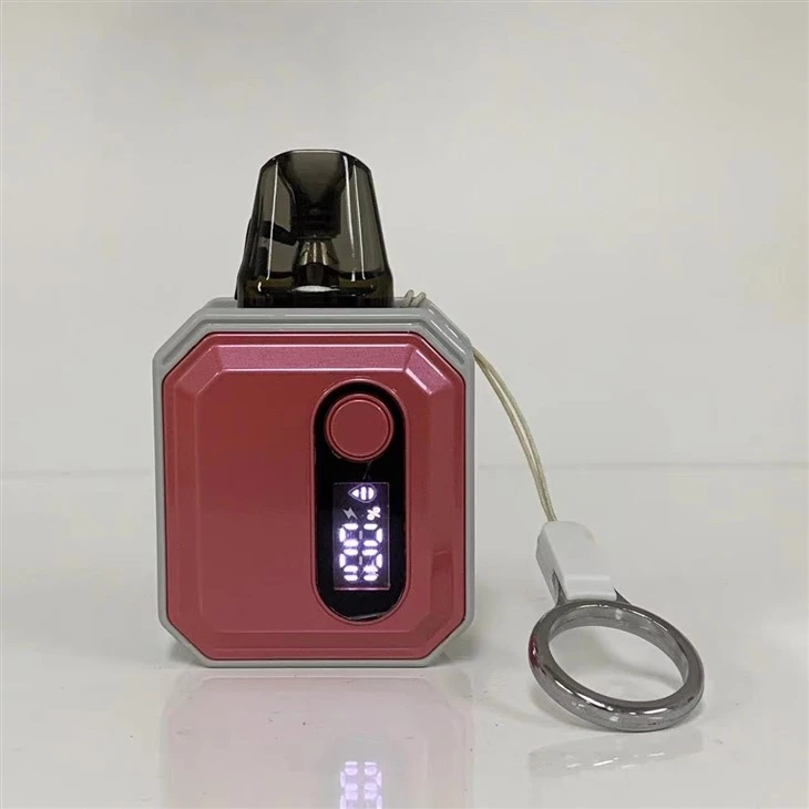 E Cigarette Vape Pod Factory 600 Puff Wholesale Disposable Vape