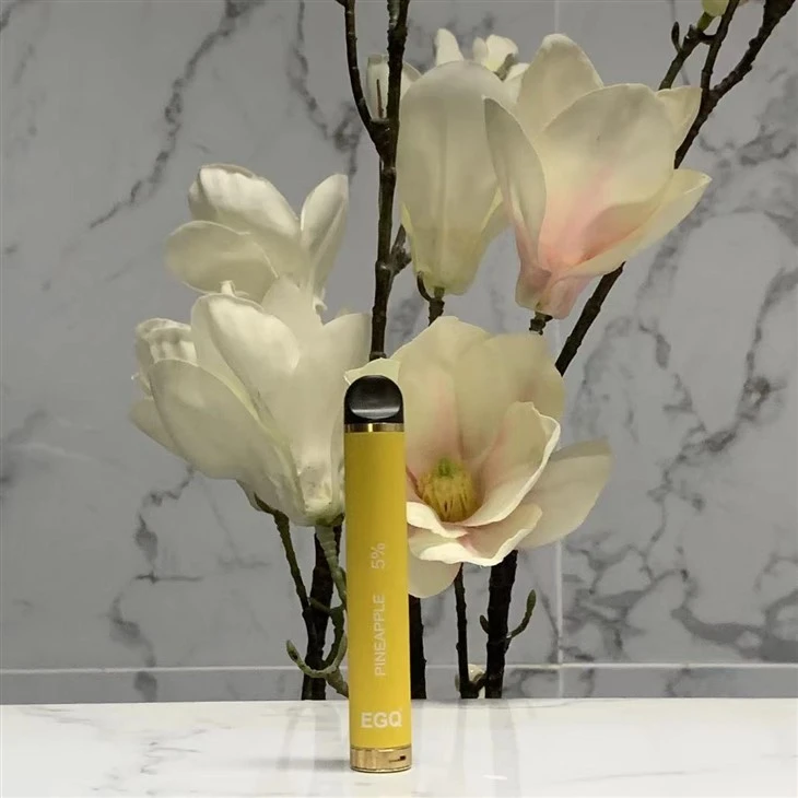 New Fashion Portable Fruit Flavor Disposable Vape