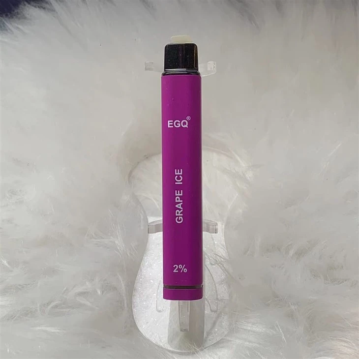 OEM ODM Disposable Vape 600 Puffs E Cigarette Wholesale