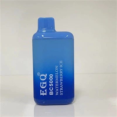 Bästsäljare Grossist Disposable Vape Pen 5K Puffs Vape Pen Ecig