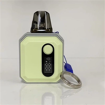 E-cigarett Mini elektronisk cigarett Custom Vape Pod Factory 600 Puff